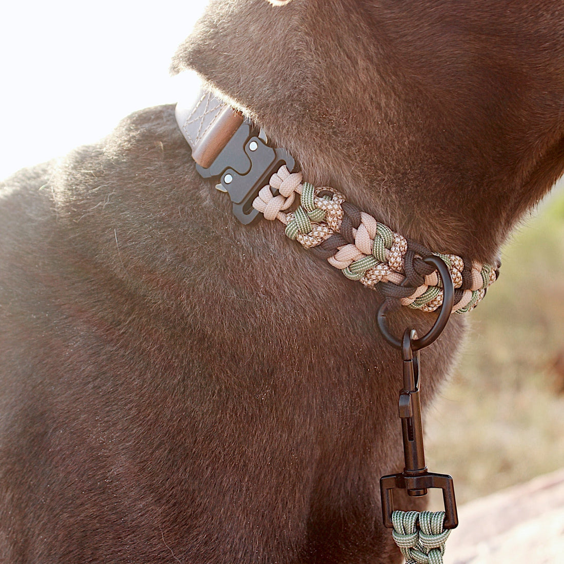 Only the best materials for our dog gear.