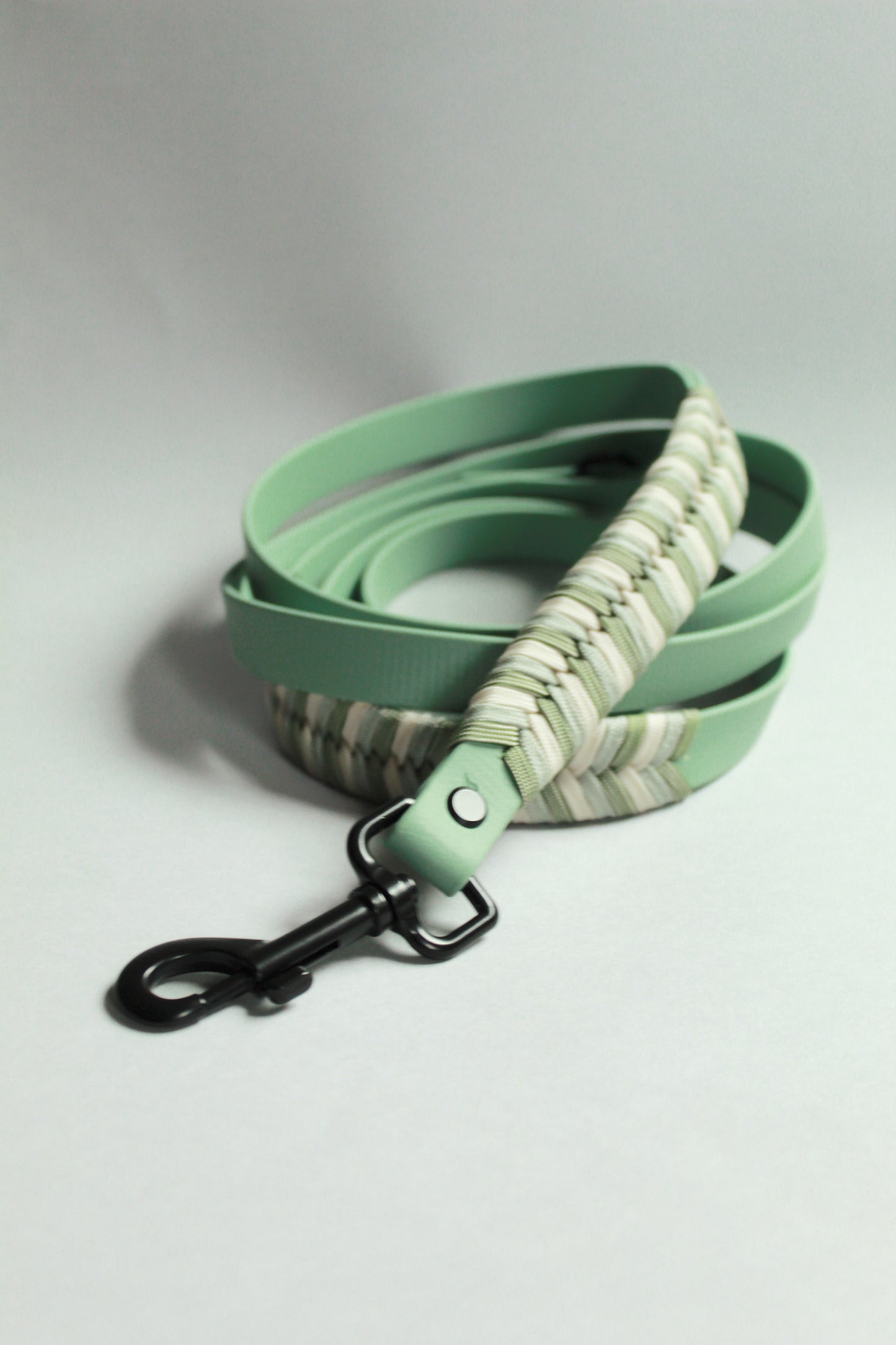 Wintergreen Biothane Leash