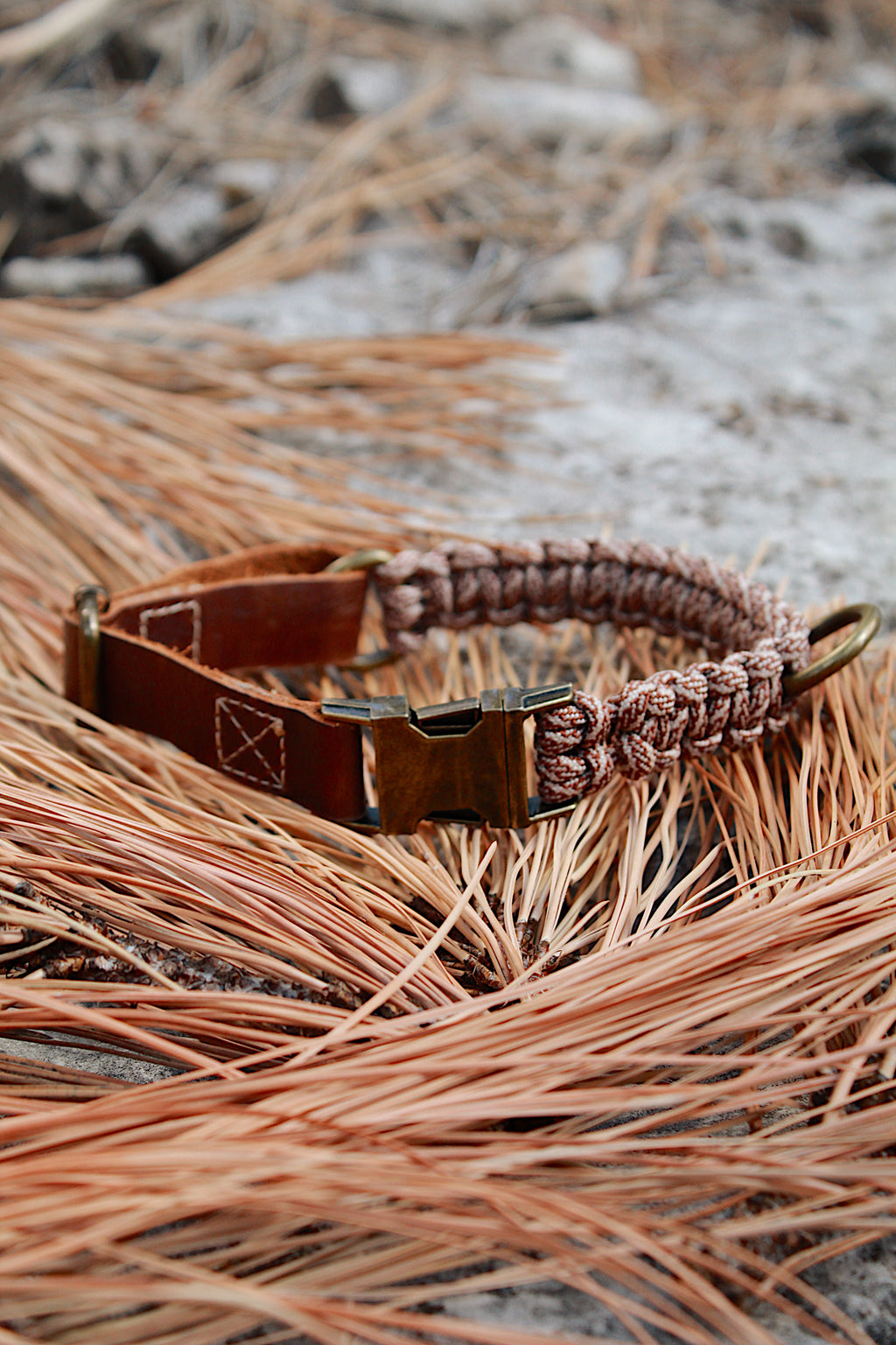 Alpha Collar - Hazelnut