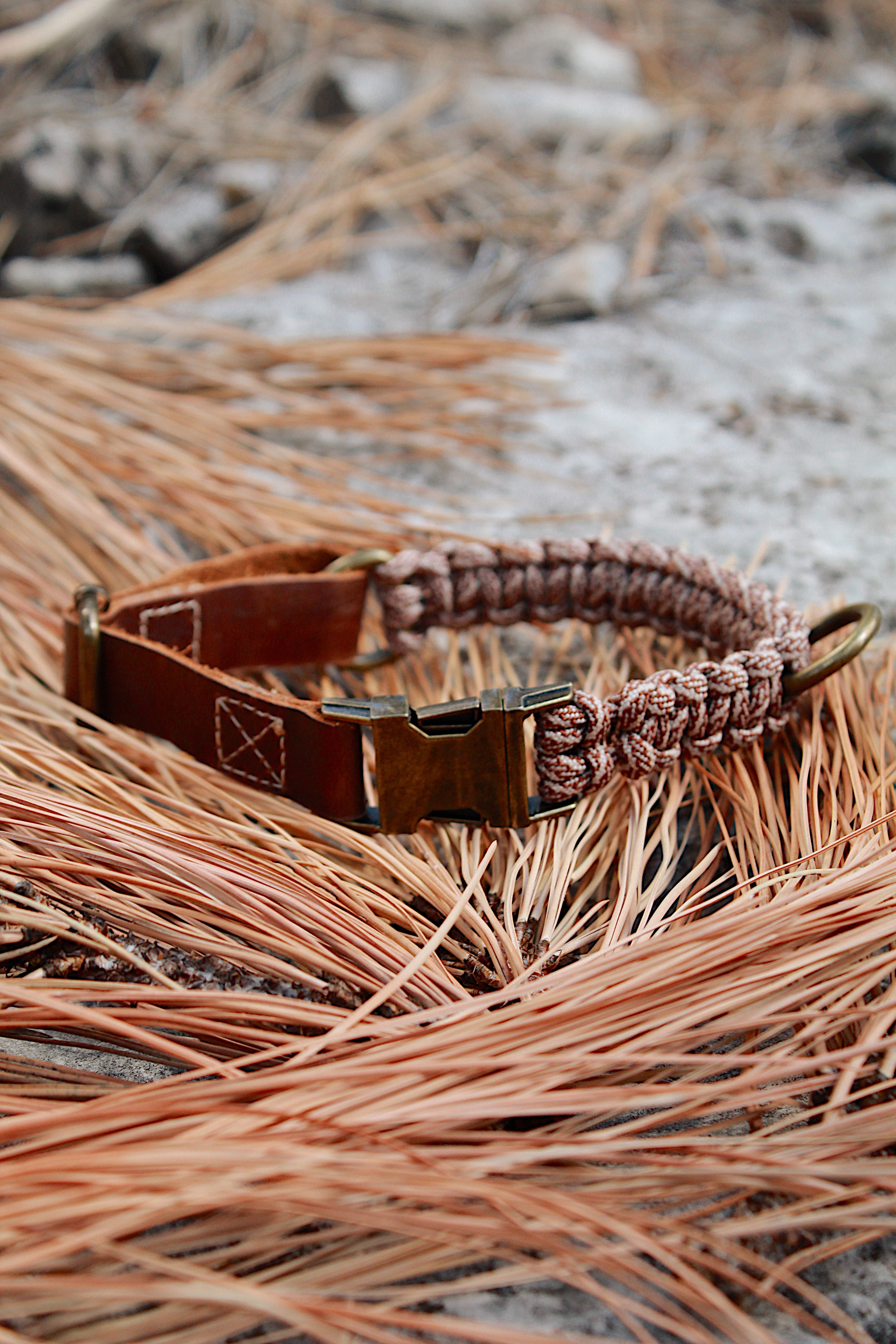 Alpha Collar - Hazelnut