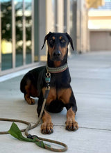 Kaia