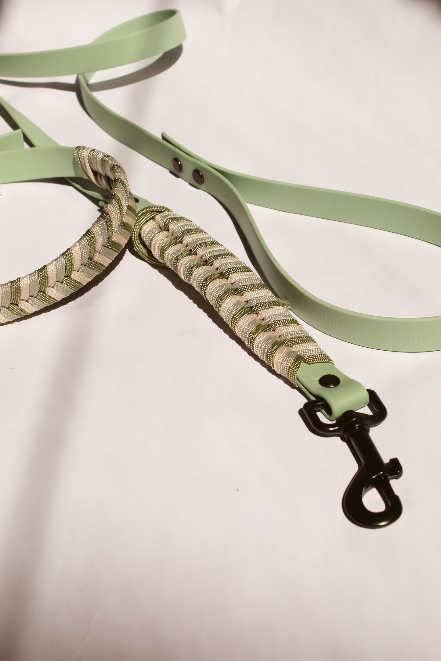 Wintergreen Biothane Leash