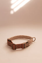 Alpha Set - Champagne