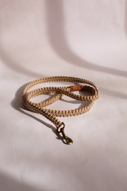 Alpha Set - Champagne