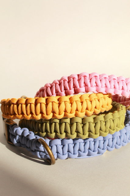 Alpha Collar - Moss