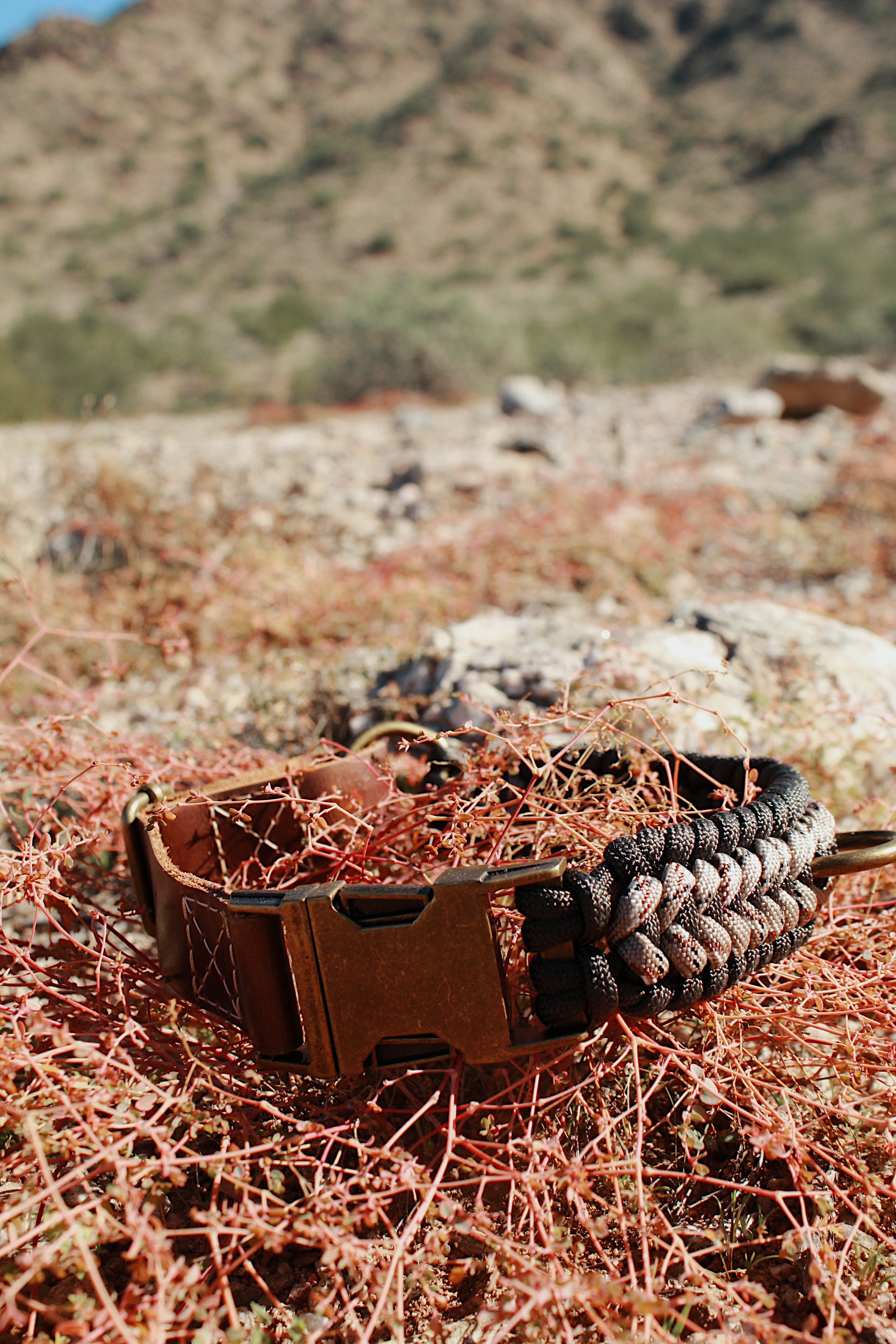 Chevron Collar - Carbon