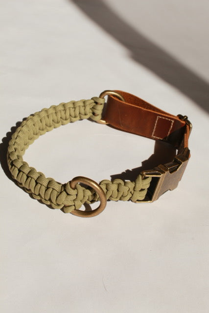 Alpha Collar - Moss