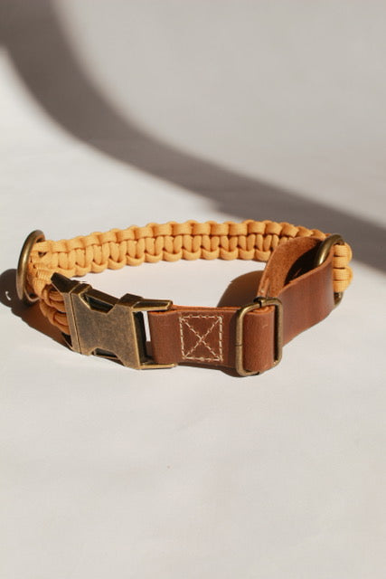 Alpha Collar - Goldrod