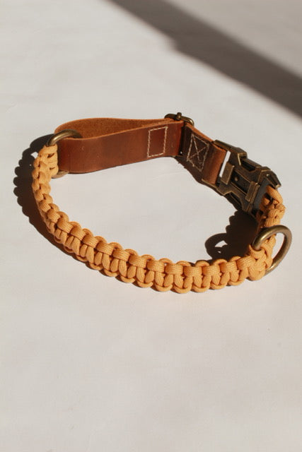 Alpha Collar - Goldrod