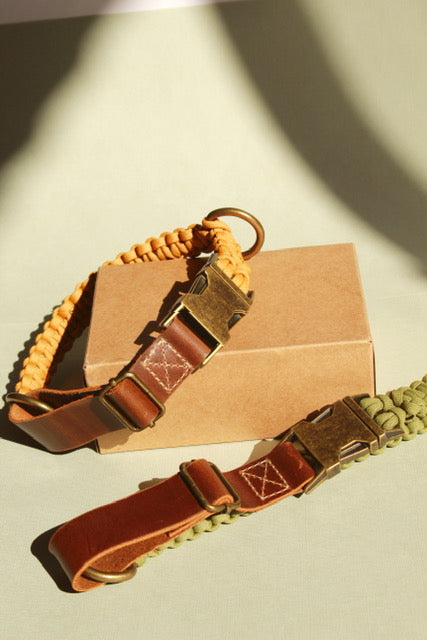 Alpha Collar - Moss