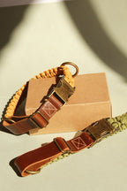 Alpha Collar - Moss