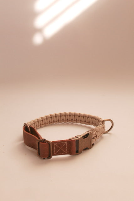 Alpha Set - Champagne