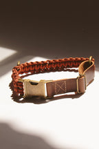 Alpha Collar - Rust