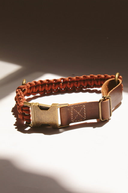 Alpha Collar - Rust