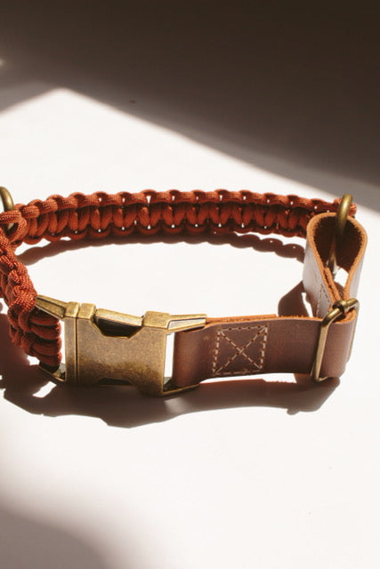 Rust Para Collar