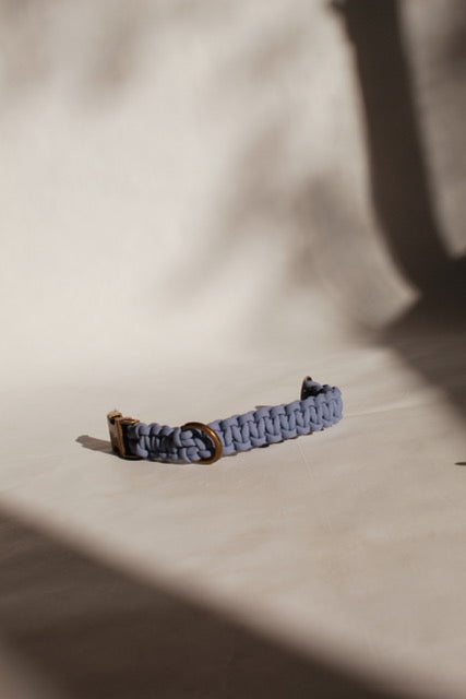 Alpha Collar - Lavender
