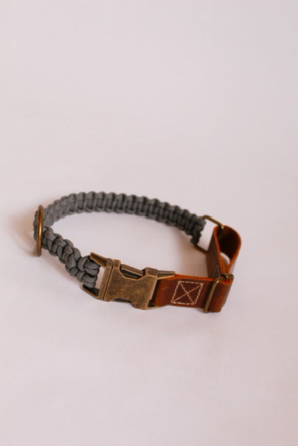 Alpha Collar - Graphite