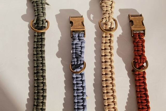 Alpha Collar - Deep Sage